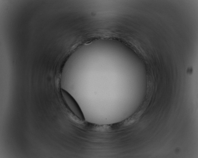 X0000101980576200807180803