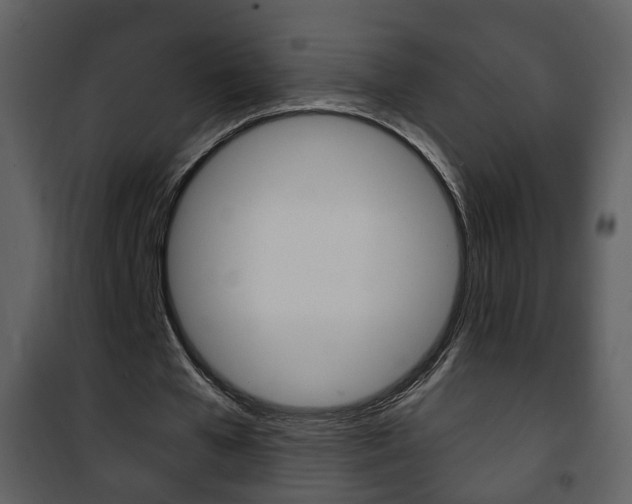 X0000101980577200807180802
