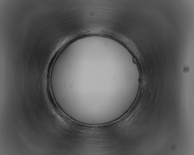 X0000101980578200807180802