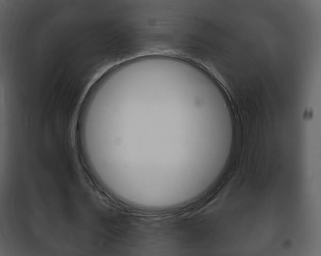 X0000101980579200807180802
