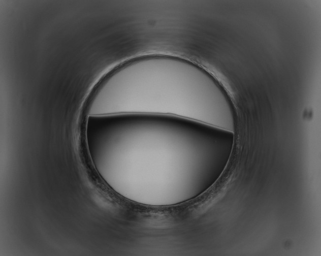 X0000101980580200807180802
