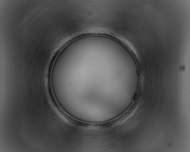 X0000101980581200807180802