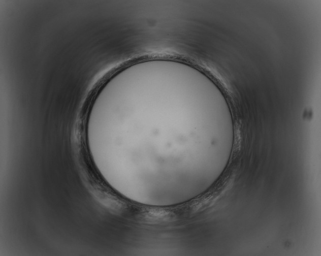 X0000101980583200807180802
