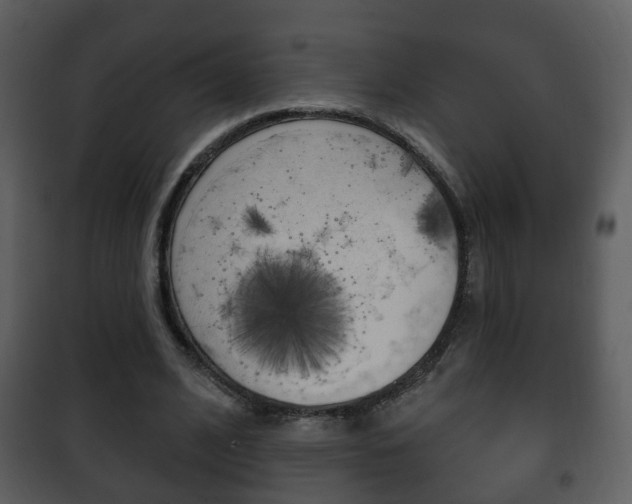 X0000101980584200807180802