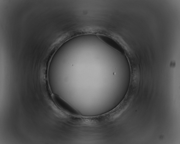 X0000101980585200807180802