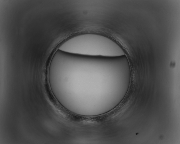 X0000101980586200807180802