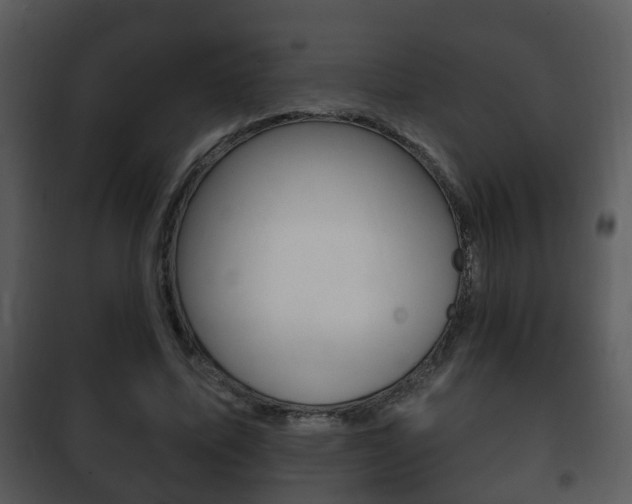 X0000101980587200807180802
