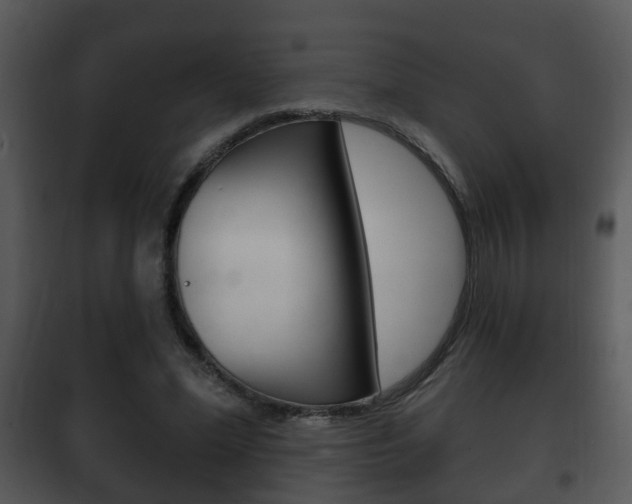 X0000101980588200807180802