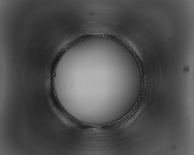 X0000101980589200807180802