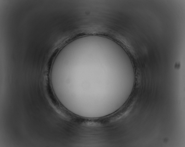 X0000101980590200807180802
