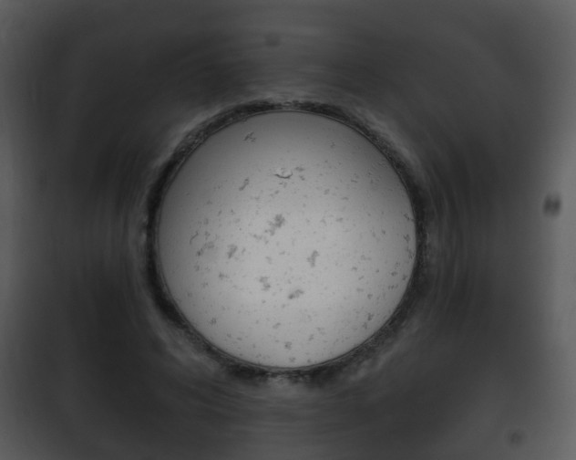 X0000101980592200807180802