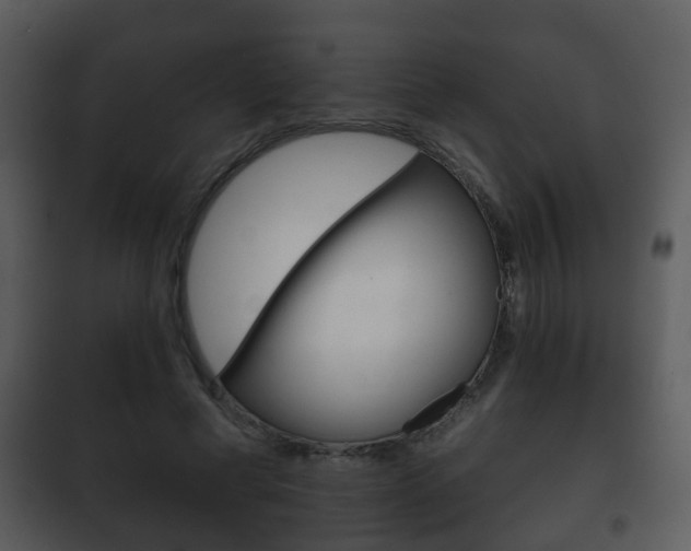 X0000101980593200807180802