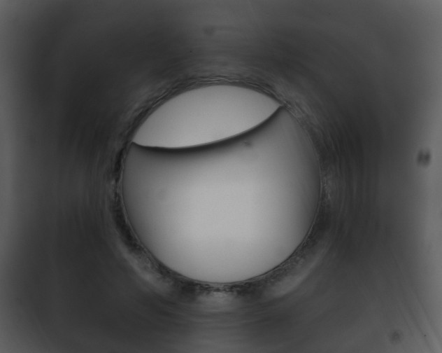 X0000101980594200807180802