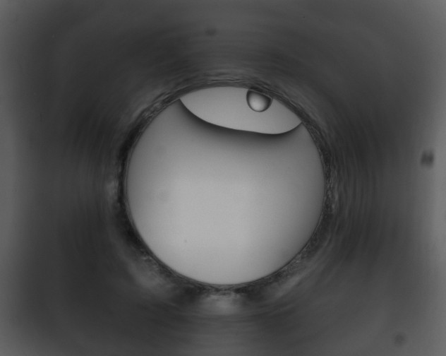 X0000101980595200807180802