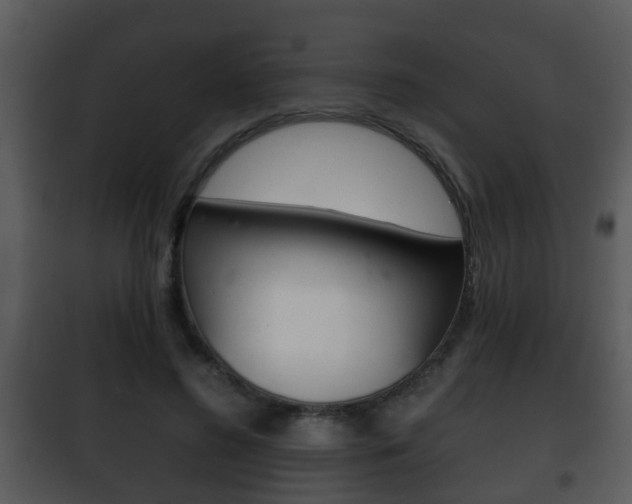 X0000101980596200807180802