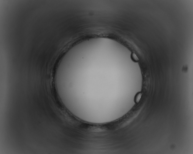 X0000101980597200807180802