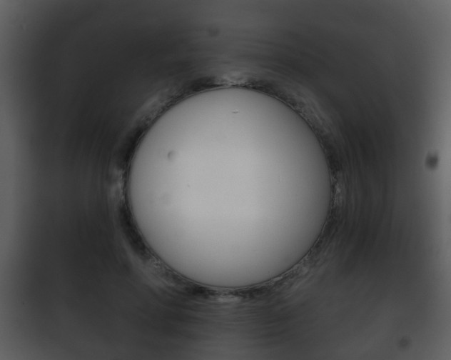 X0000101980598200807180802