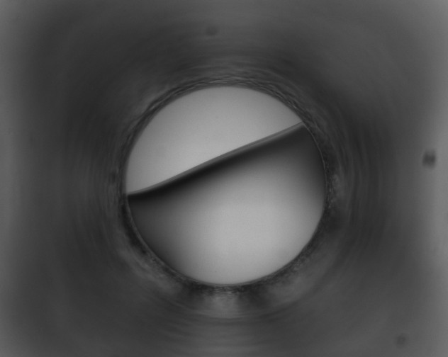X0000101980600200807180802