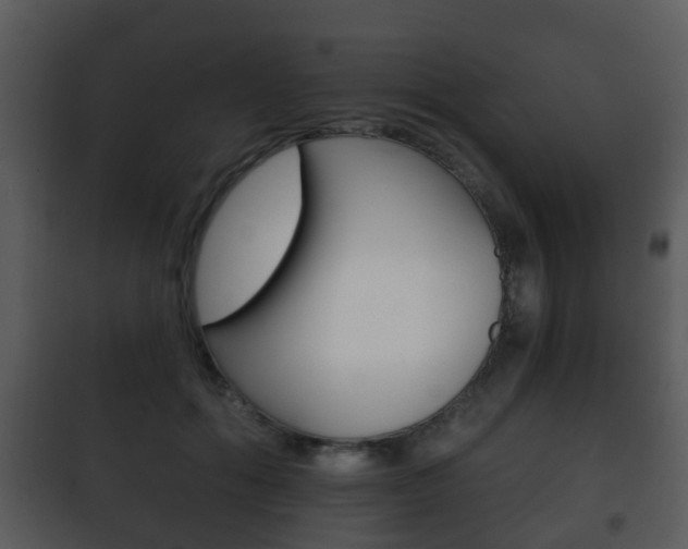 X0000101980602200807180802