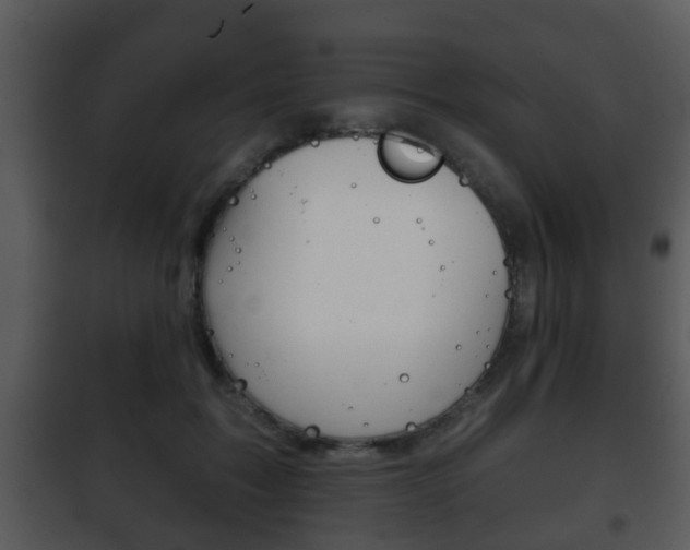 X0000101980603200807180802