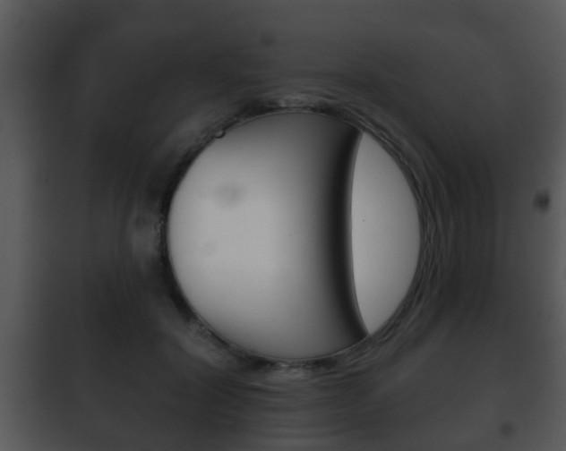 X0000101980604200807180802