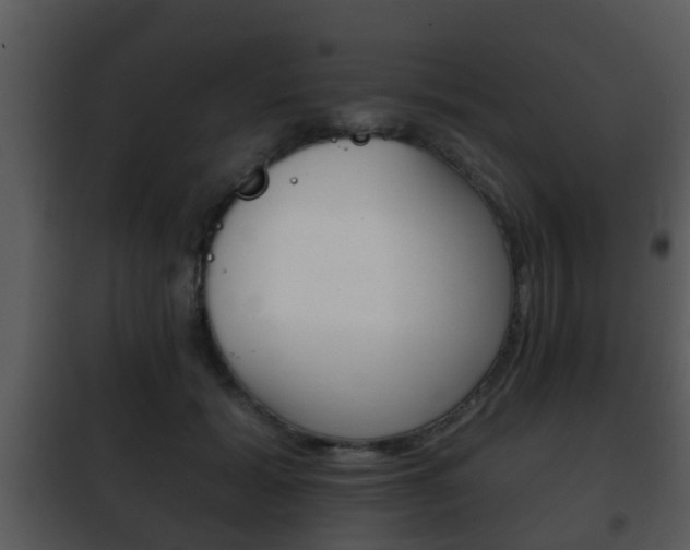 X0000101980605200807180802