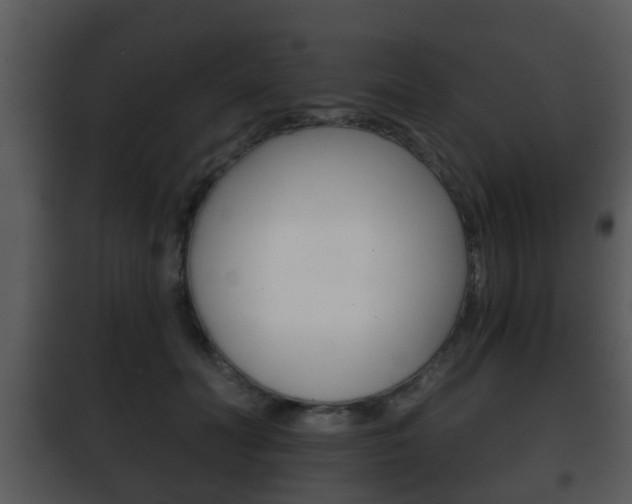 X0000101980606200807180802
