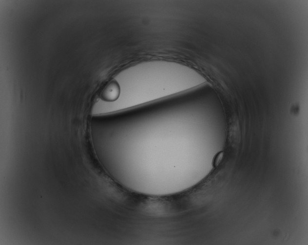 X0000101980608200807180802