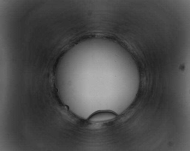 X0000101980609200807180802