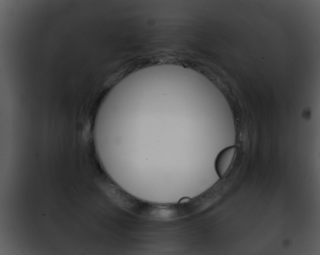X0000101980610200807180802