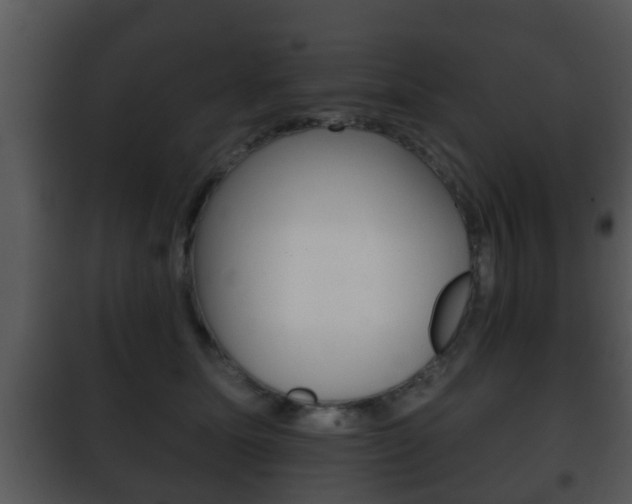 X0000101980611200807180802