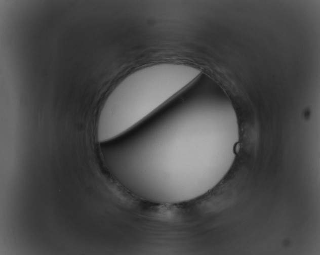 X0000101980612200807180802
