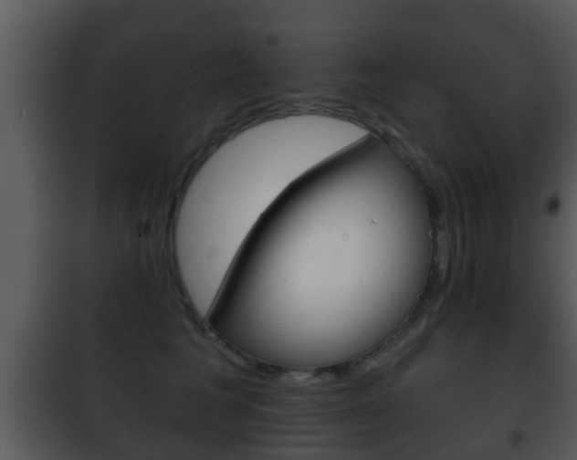 X0000101980613200807180802