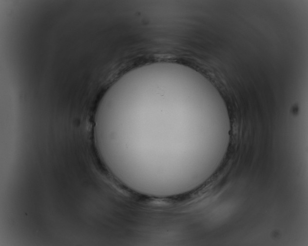 X0000101980614200807180802