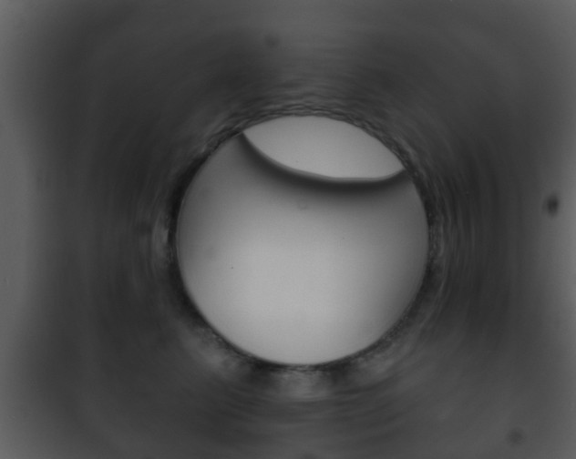 X0000101980615200807180802