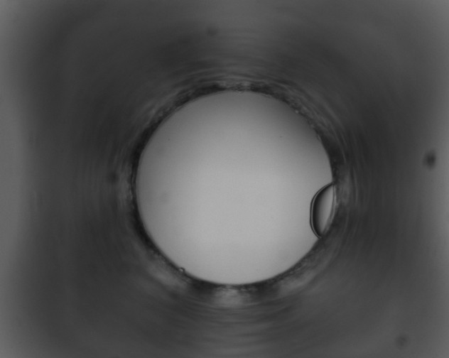 X0000101980616200807180802