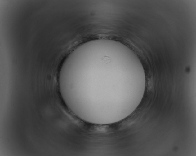 X0000101980618200807180802