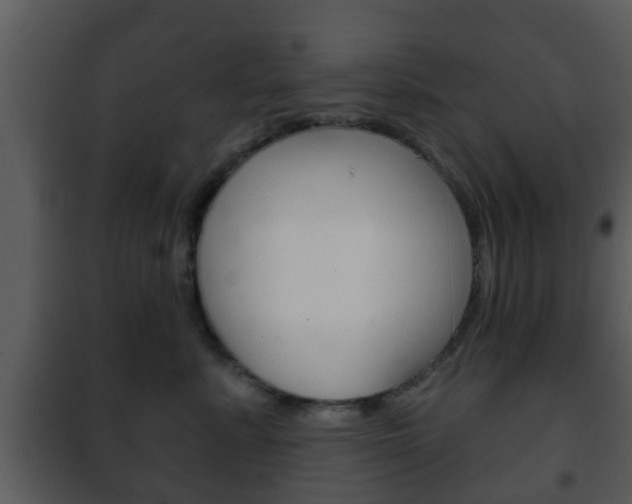X0000101980619200807180802