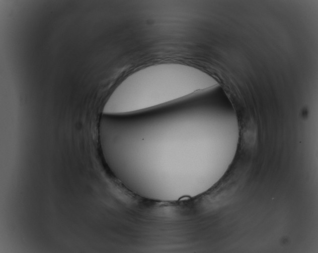 X0000101980620200807180802