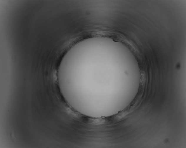 X0000101980621200807180802