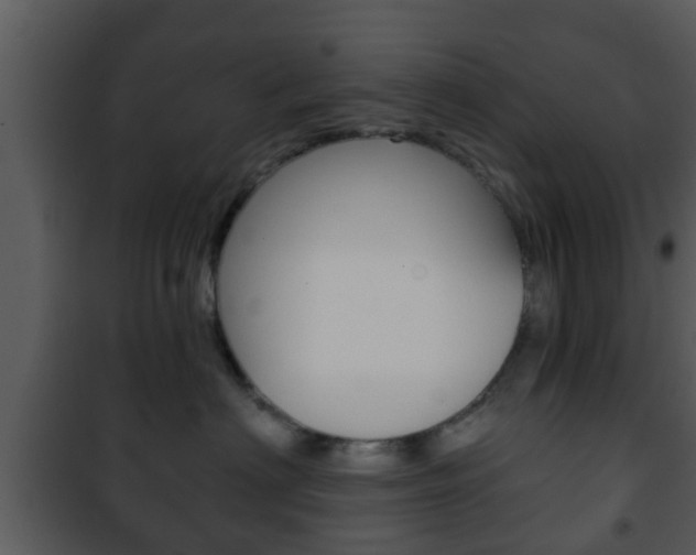 X0000101980622200807180802