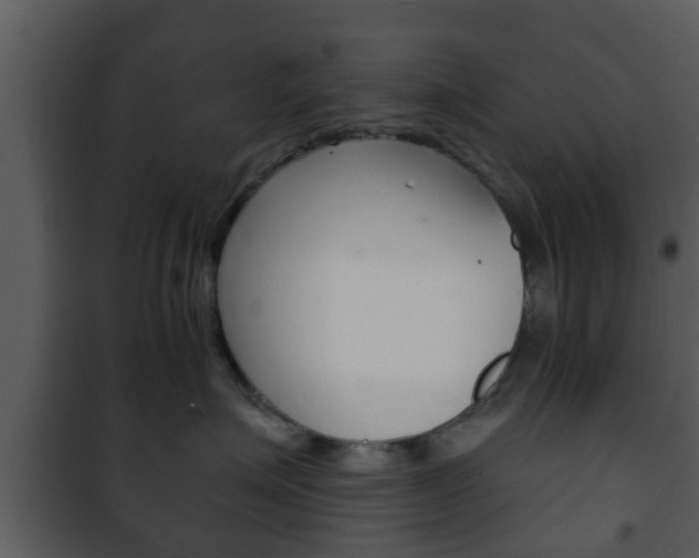 X0000101980623200807180802
