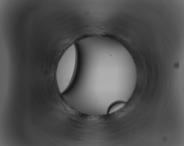 X0000101980624200807180802