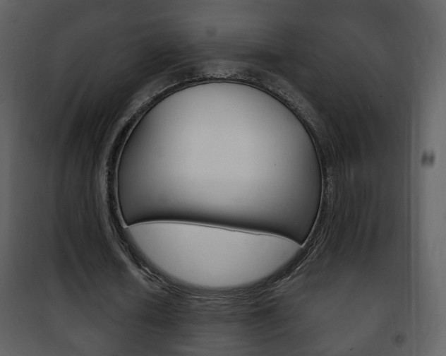 X0000101980626200807180801