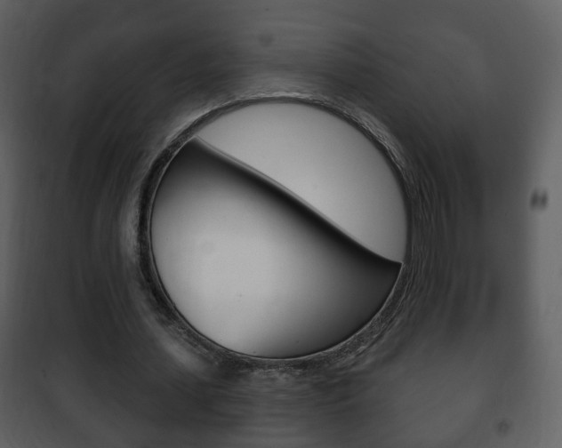 X0000101980627200807180801