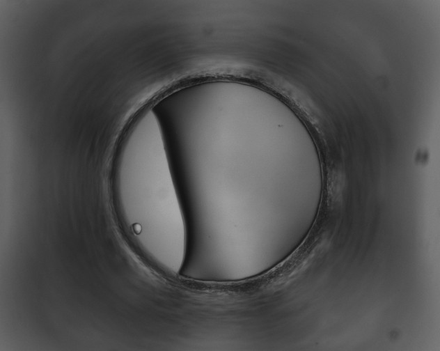 X0000101980629200807180801