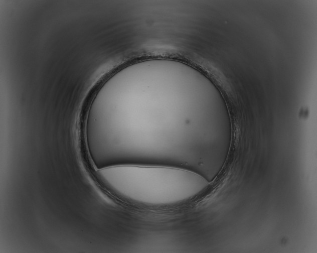 X0000101980630200807180801