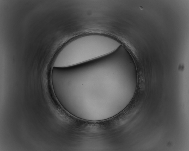 X0000101980631200807180801