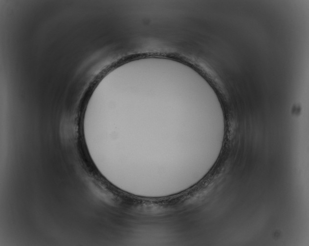 X0000101980632200807180801