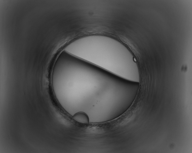 X0000101980634200807180801